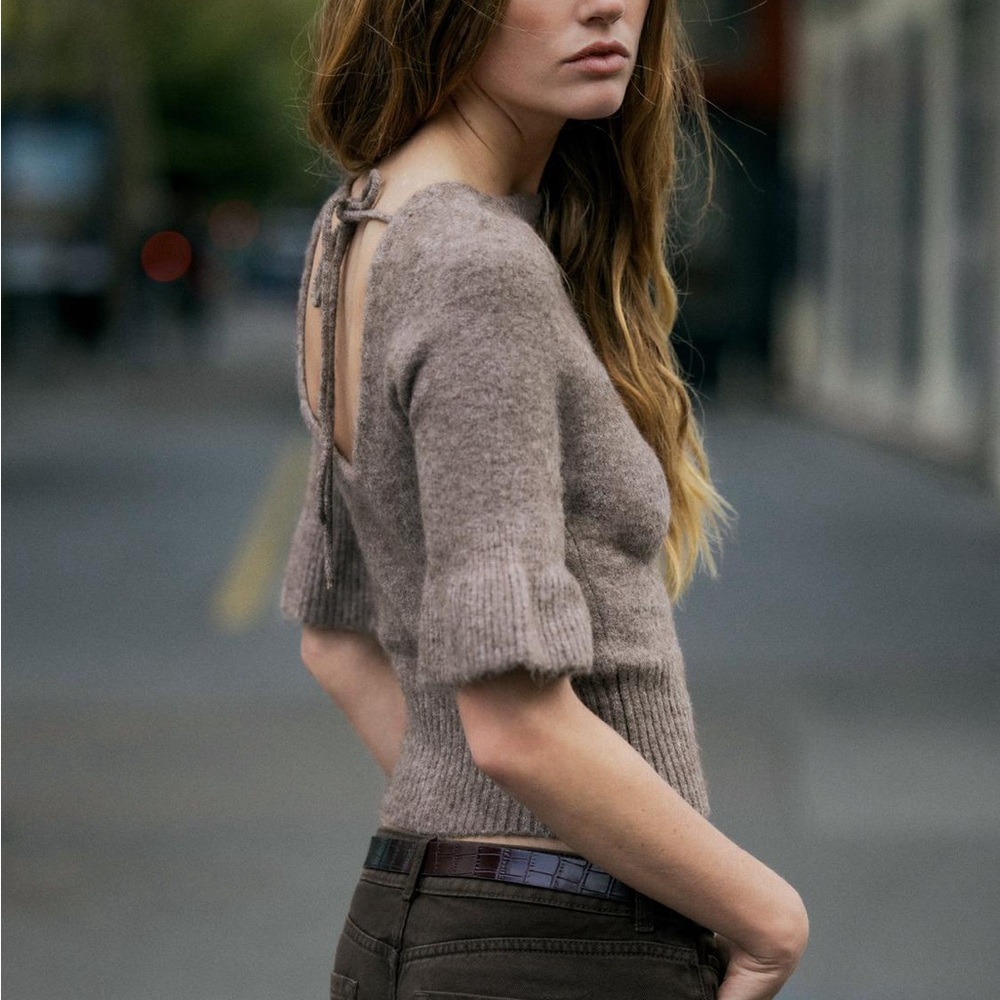 Zara Knit Short Sleeve Open Back Sweater – Brown/Taupe NWT